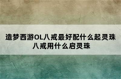 造梦西游OL八戒最好配什么起灵珠 八戒用什么启灵珠